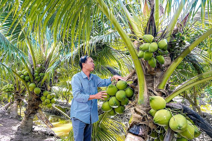 Tận dụng lợi thế để xuất khẩu nông sản hữu cơ sang thị trường Trung Quốc