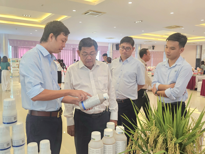 Mô hình đề án một triệu hec-ta lúa chất lượng cao lợi nhuận đạt đến 36,3 triệu đồng/ha